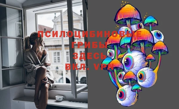 спиды Корсаков