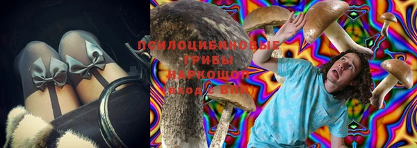 спиды Корсаков