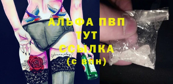 спиды Корсаков