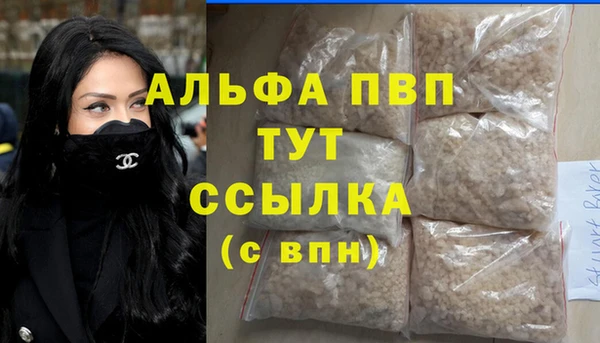 спиды Корсаков