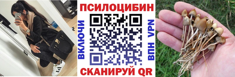 ссылка на мегу зеркало  Малгобек  Галлюциногенные грибы MAGIC MUSHROOMS 