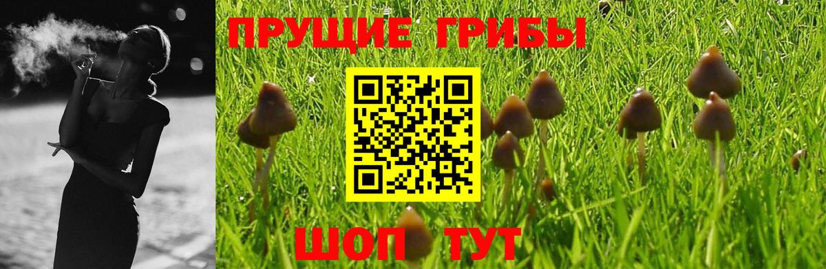 Псилоцибиновые грибы GOLDEN TEACHER  Вход с VPN  Малгобек 