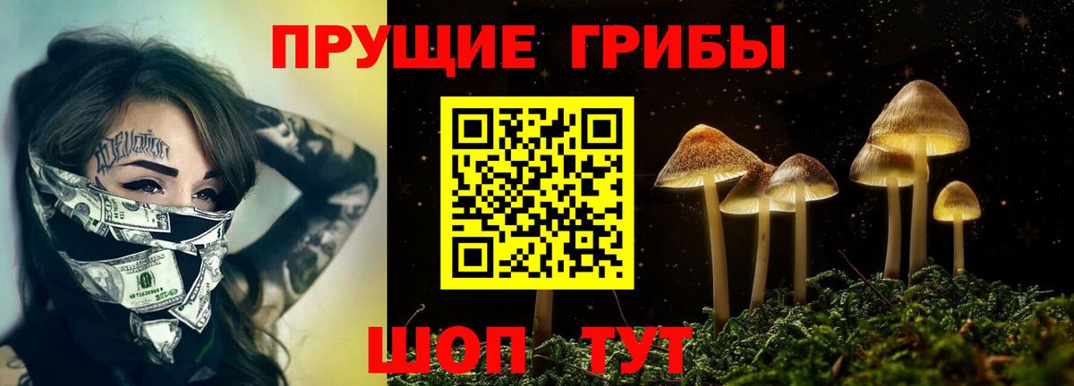 ГАШ Малгобек
