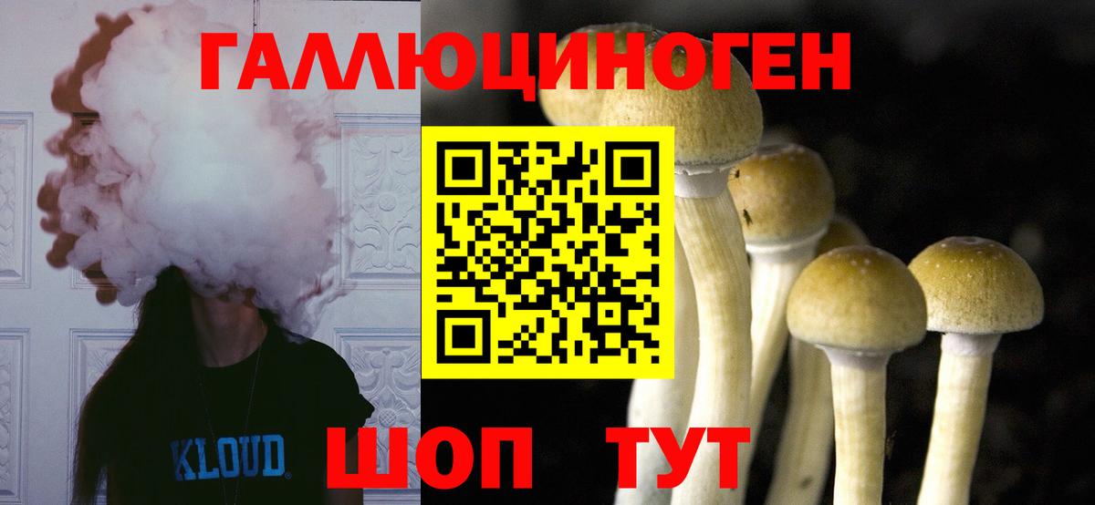 Псилоцибиновые грибы Magic Shrooms Малгобек