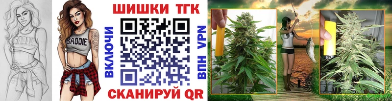 площадка какой сайт  где купить наркотик  Малгобек  Канабис конопля 